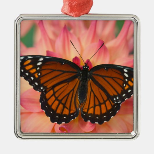 Een Nabootsing Van De Monarchvlinder Metalen Ornament (Voorkant)