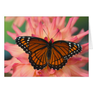 Een nabootsing van de monboogvlinder