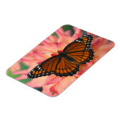 Een nabootsing van de monboogvlinder magneet (Linkerzijde)