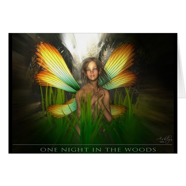 Een nacht in de Bossen (Voorkant Horizontaal)