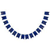 Een nachtfeest in Parijs die een banner bundelt (Alle)