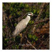 Een nachtheld. foto afdruk (Voorkant)