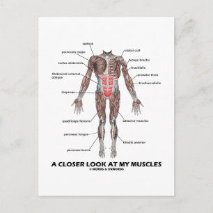 Een nadere blik op mijn spieren (anatomie/anatomie briefkaart