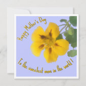 Een nasturtiumbloem voor moederdag kaart (Voorkant)