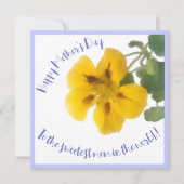 Een nasturtiumbloem voor moederdag kaart (Voorkant)