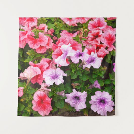 Een natuur foto is een mooie petunia bloem. Plan Wandkleed (Voorkant)