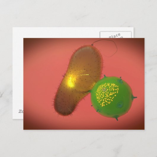 Een natuurlijke Killer Cell injecteert toxine Briefkaart (Voorkant / Achterkant)