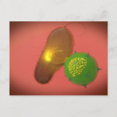 Een natuurlijke Killer Cell injecteert toxine Briefkaart (Voorkant)