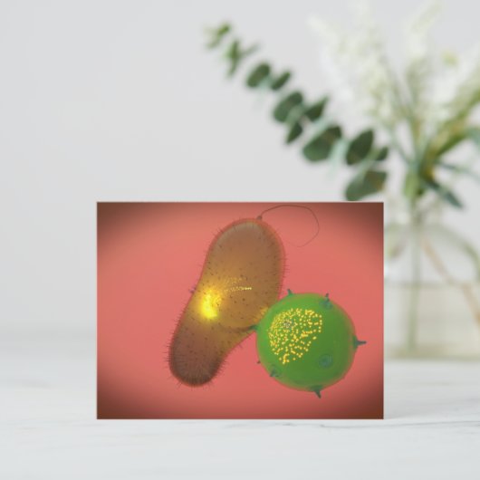 Een natuurlijke Killer Cell injecteert toxine Briefkaart (Staand voorkant)