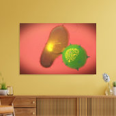 Een natuurlijke Killer Cell injecteert toxine Canvas Afdruk (Insitu (Woonkamer))