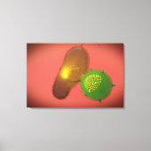 Een natuurlijke Killer Cell injecteert toxine Canvas Afdruk (Voorkant)