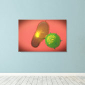 Een natuurlijke Killer Cell injecteert toxine Canvas Afdruk (Insitu (Houten vloer))