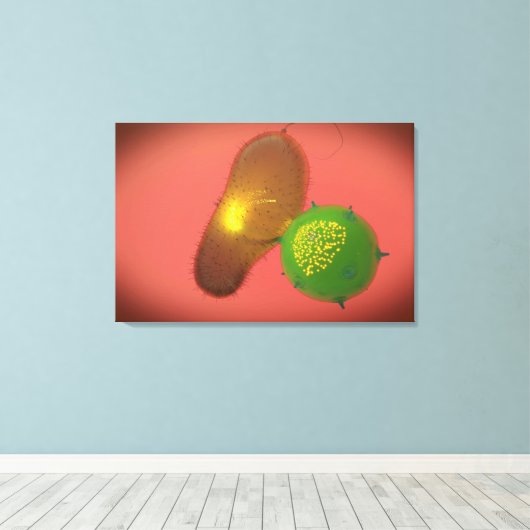 Een natuurlijke Killer Cell injecteert toxine Canvas Afdruk (Insitu (Houten vloer))