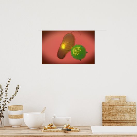 Een natuurlijke Killer Cell injecteert toxine Poster (Keuken)