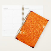 EEN NEAIR UITZICHT VAN DE BEAUTIFULZON PLANNER (Display)