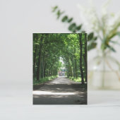Een Nederlandse Lane in Forrest in Holland Foto Br Briefkaart (Staand voorkant)