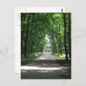 Een Nederlandse Lane in Forrest in Holland Foto Br Briefkaart (Voorkant / Achterkant)