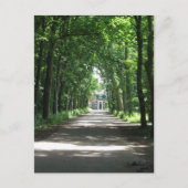 Een Nederlandse Lane in Forrest in Holland Foto Br Briefkaart (Voorkant)