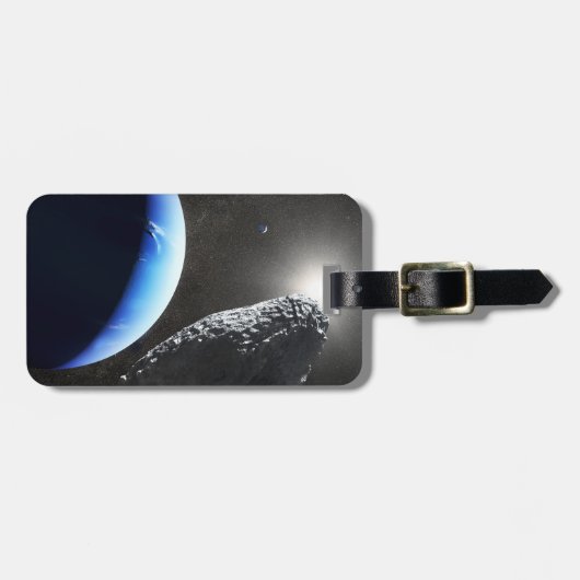 Een Neptunus kleine maan hippokamp. Bagagelabel (Voorkant horizontaal)