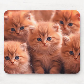 Een nest van cute katjes op laptop desktop tablet muismat