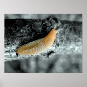 Een netelige situatie poster (Voorkant)