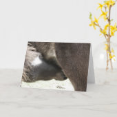 Een neurserende minifilm kaart (Gele Bloem)