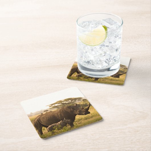 Een neushoorn met haar baby kartonnen onderzetters (Insitu)