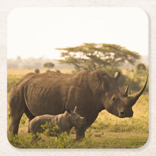 Een neushoorn met haar baby kartonnen onderzetters