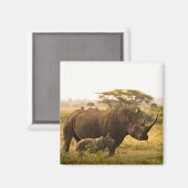 Een neushoorn met haar baby magneet (Voorkant / Achterkant)