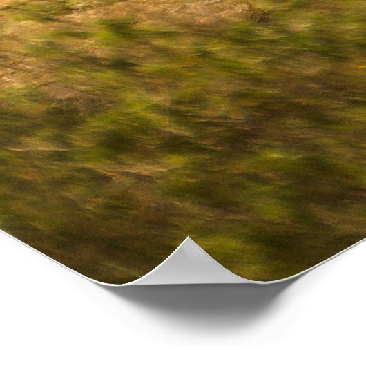 Een neushoorn met haar baby poster (Hoek)