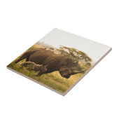 Een neushoorn met haar baby tegeltje (Zijkant)