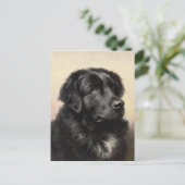 Een Newfoundland Briefkaart (Staand voorkant)