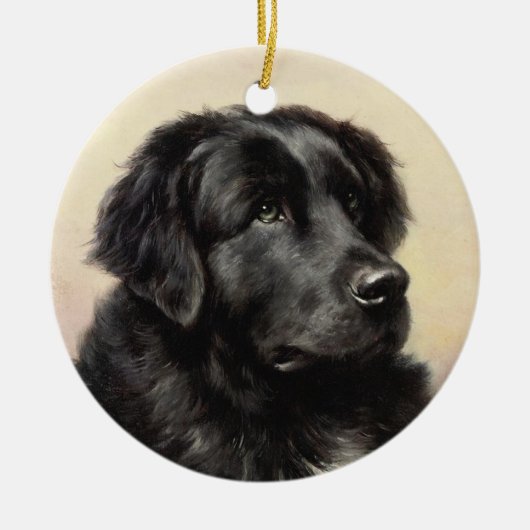 Een Newfoundland Ornament (Voorkant)