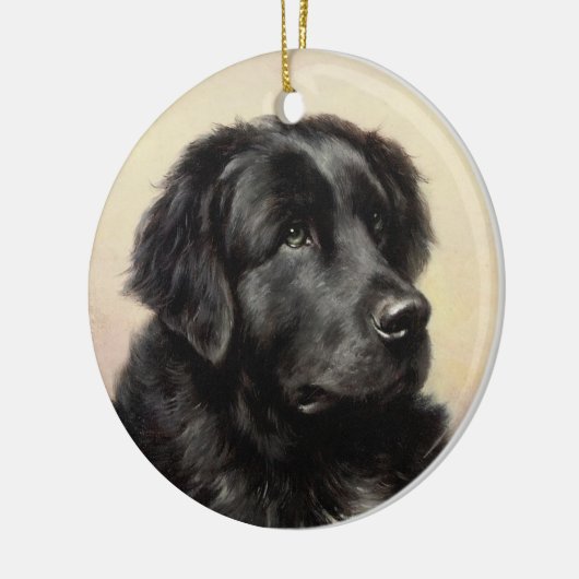 Een Newfoundland Ornament (Links)