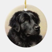 Een Newfoundland Ornament (Achterkant)