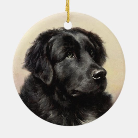 Een Newfoundland Ornament (Achterkant)