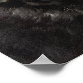 Een Newfoundland Poster (Hoek)