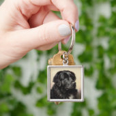 Een Newfoundland Premium-Sleutelhanger Sleutelhanger (Hand)