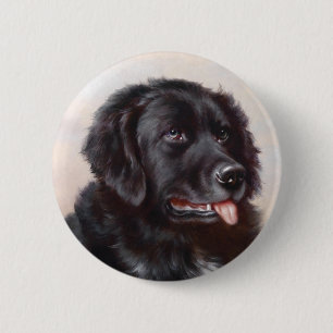 Een Newfoundlander Button