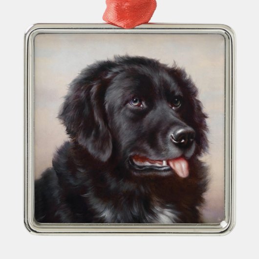 Een Newfoundlander Ornament (Voorkant)