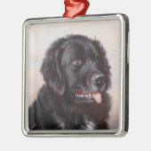Een Newfoundlander Ornament (Links)