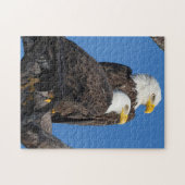 Een nieuw paar in het Nest- M15 & F23 Legpuzzel (Horizontaal)