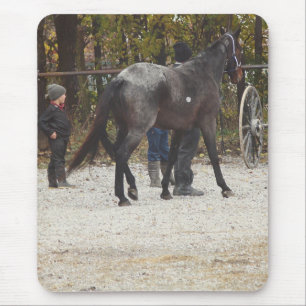 Een nieuw paard krijgen muismat
