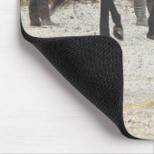 Een nieuw paard muismat (Hoek)