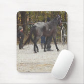 Een nieuw paard muismat (Met muis)
