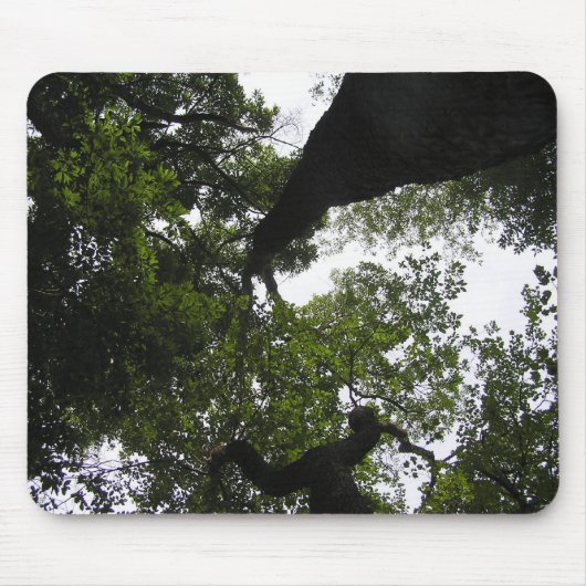 Een nieuw perspectief - Bomen Muismat (Voorkant)