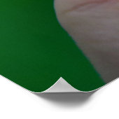 Een nieuw Poster van de Begin Acorn (Hoek)