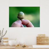 Een nieuw Poster van de Begin Acorn (Keuken)