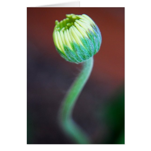 Een nieuw seizoen (Voorkant)