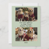 Een Nieuw Thuis Voor De Feestdagen Feestdagenkaart (Achterkant)